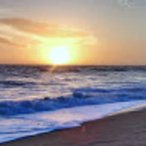 Meet your Posher, Broker